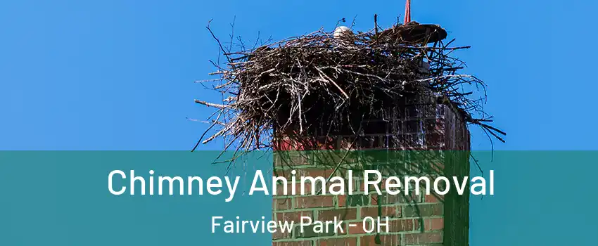  Chimney Animal Removal Fairview Park - OH