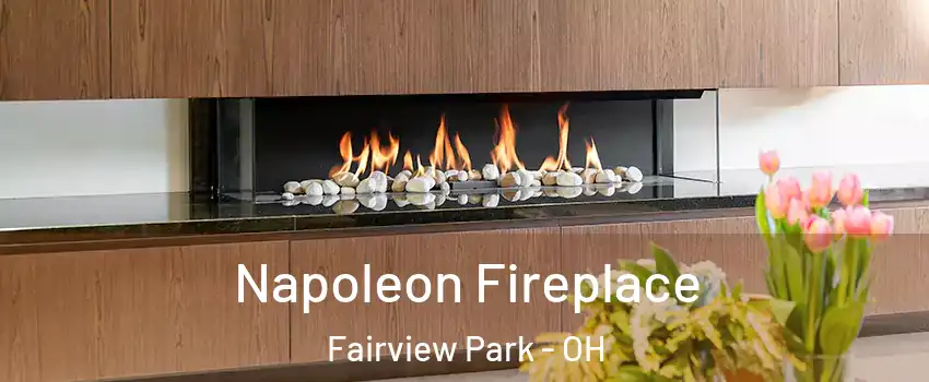  Napoleon Fireplace Fairview Park - OH